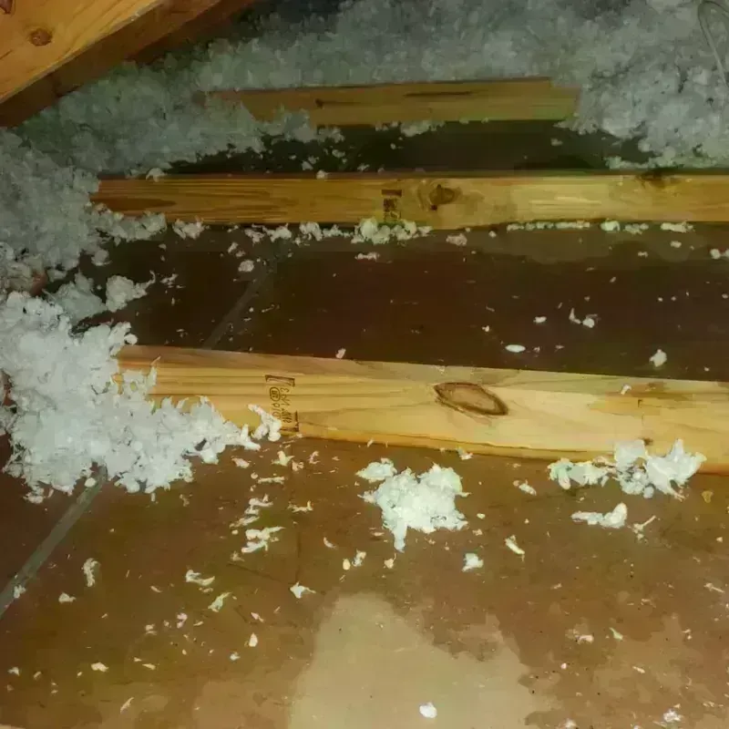 Attic Water Damage in Winchester Center, CT